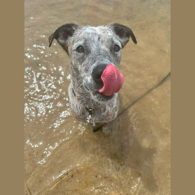 Photo of Blue