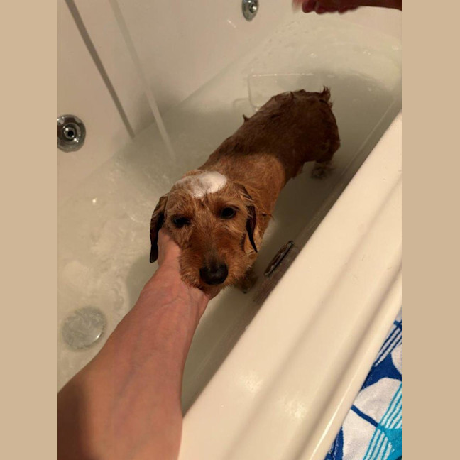 Photo of Sally And Jessie Wensleydale