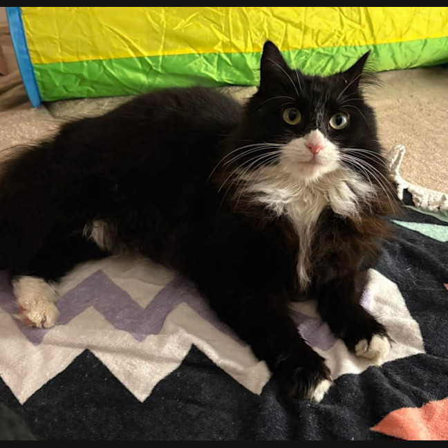 Photo of Inky