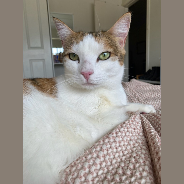 Photo of Marlee