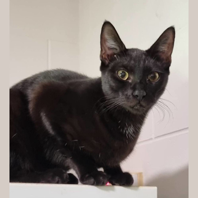 Photo of Martha