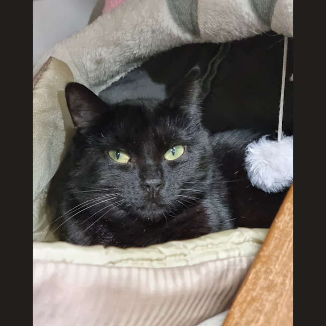 Photo of Dottie