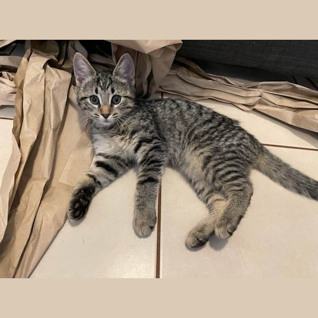 Photo of Diego