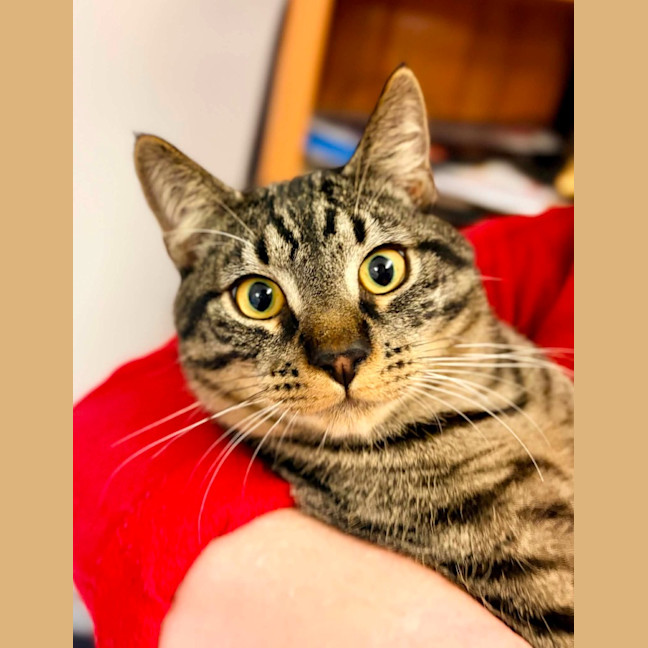 Photo of Reetee