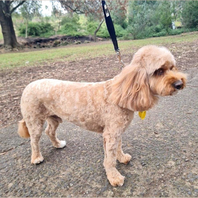 Photo of Winston Quinell