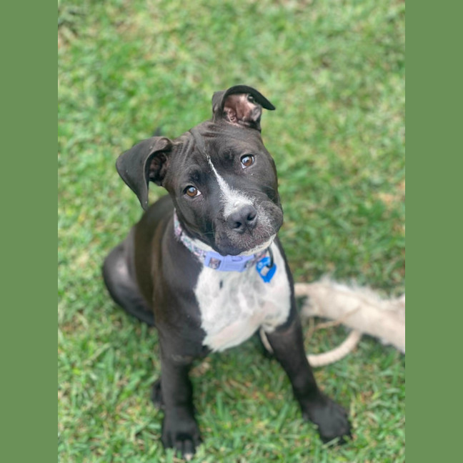 Photo of Maggie