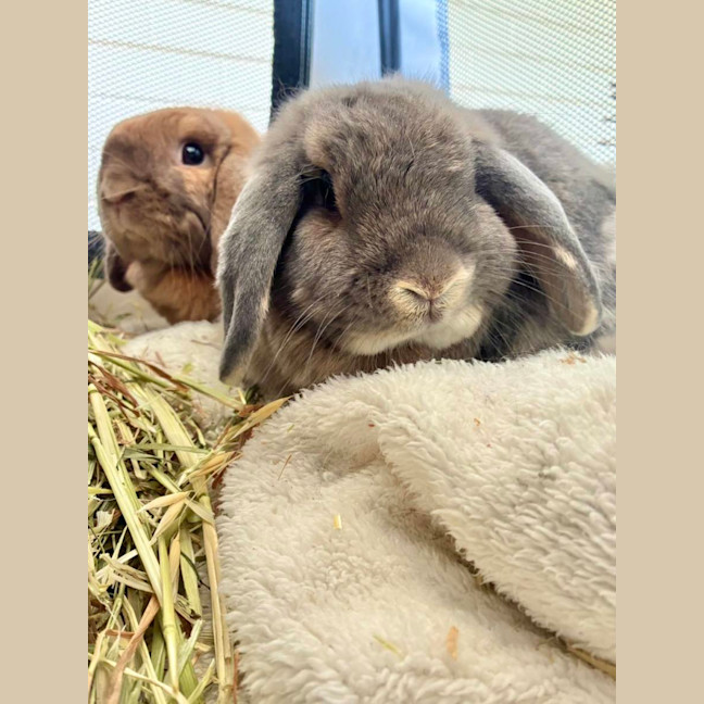 Photo of Denver And Heather