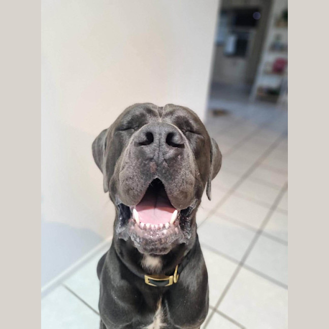 Photo of Clifford