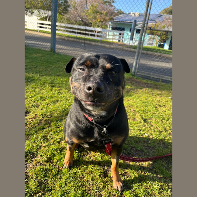 Photo of Miss P