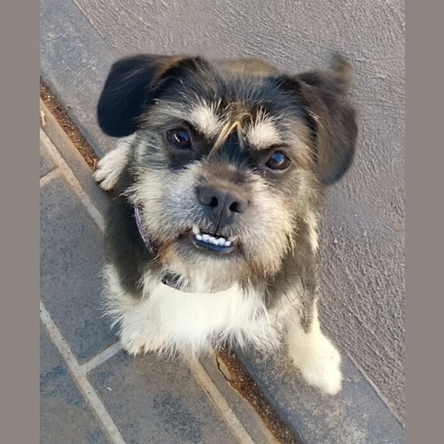 Photo of Murphy