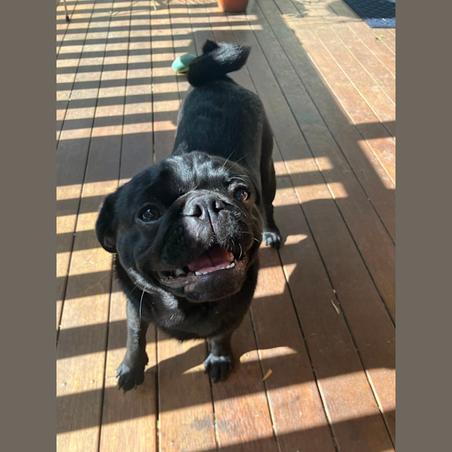 Photo of Milton 💗