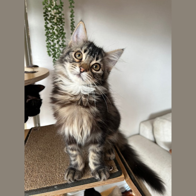 Photo of Jack & Jupiter