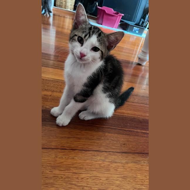 Photo of Jasper