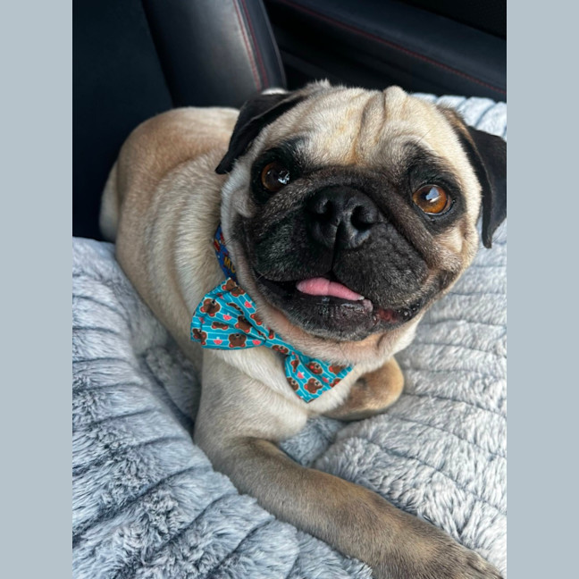 Photo of Casper 👻