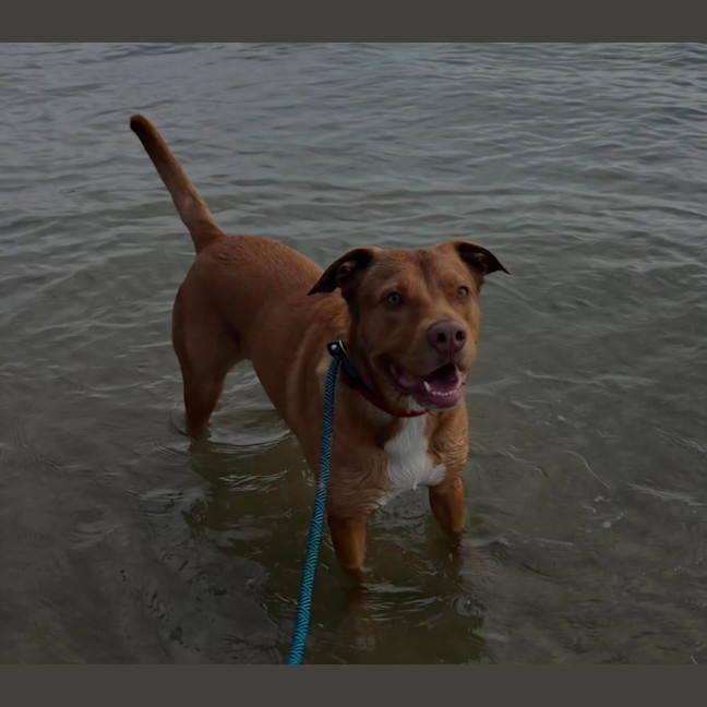 Photo of Monty