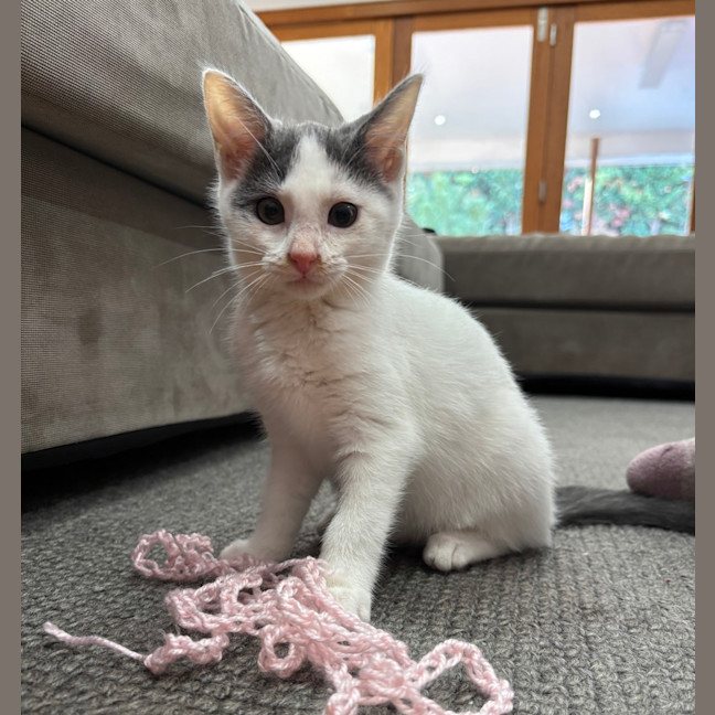 Photo of Bonnie