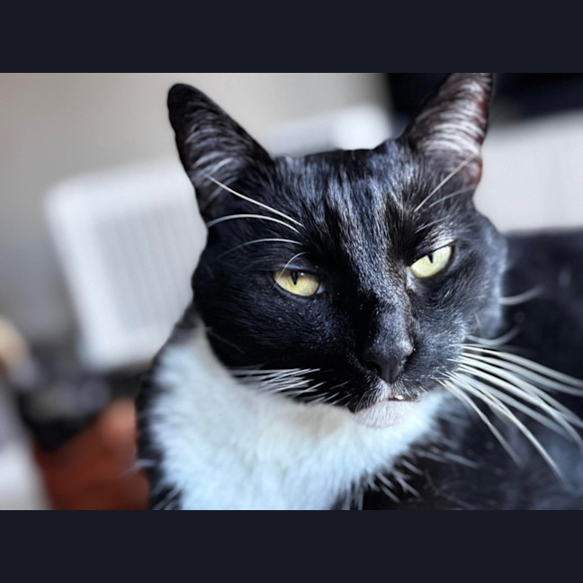 Photo of Jesse 