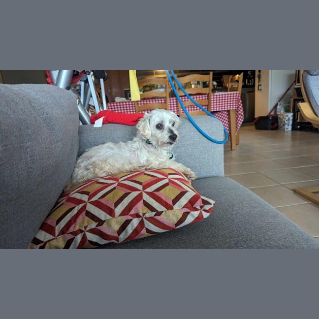 Photo of Simon Babbington