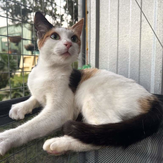 Photo of Princess