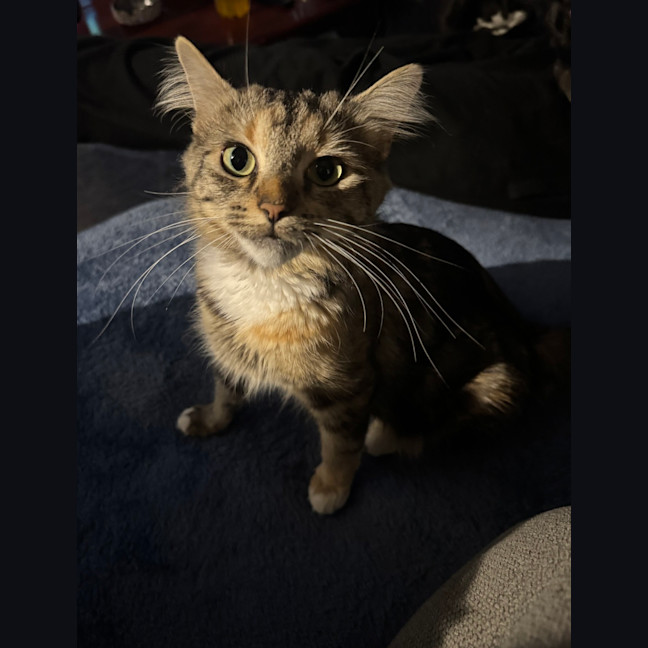 Photo of Samara Mae 