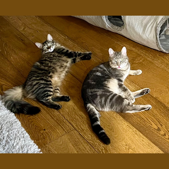 Photo of Lexi & Cara