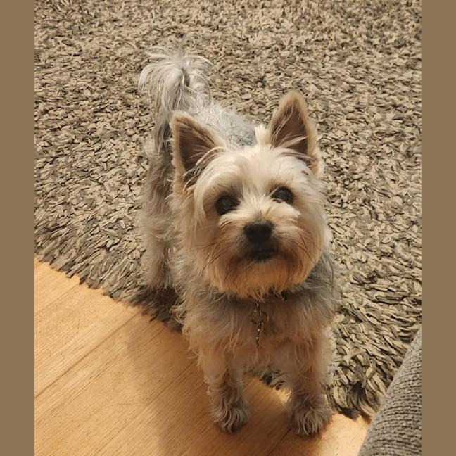 Photo of Coco