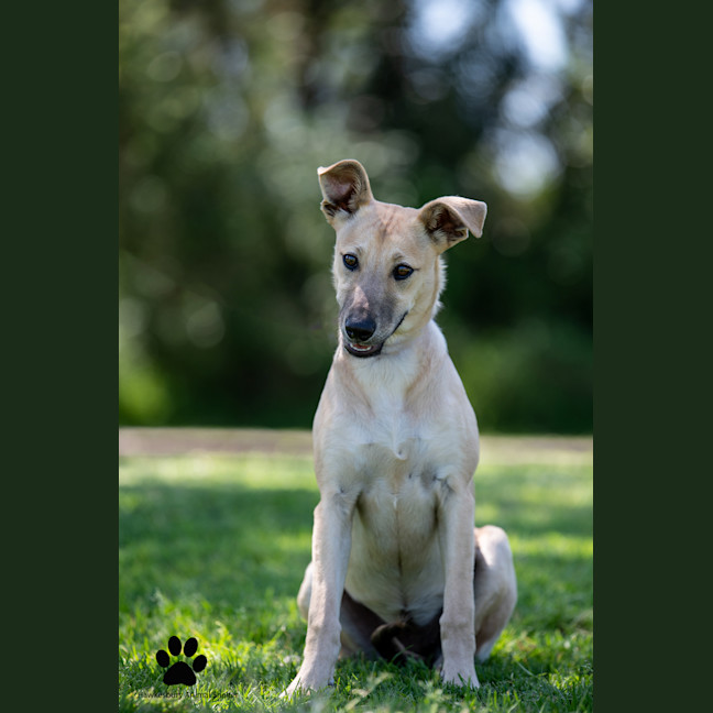 Photo of Winnie