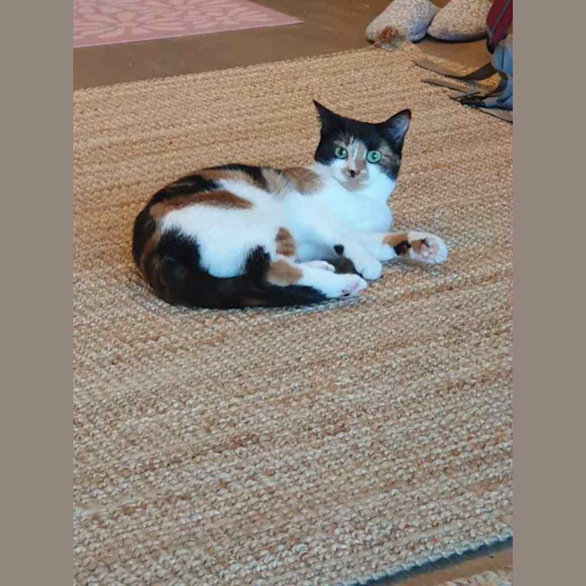 Photo of Marble