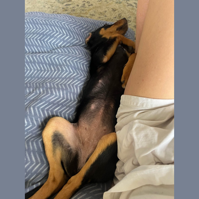 Photo of Mila
