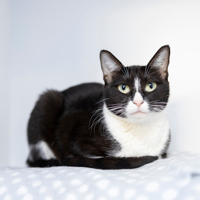 Photo of Lady Macbeth