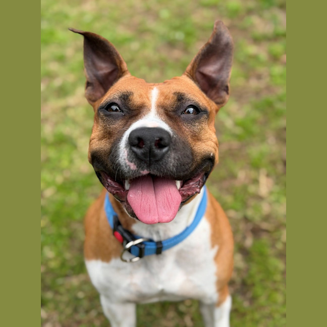 Photo of Bingo