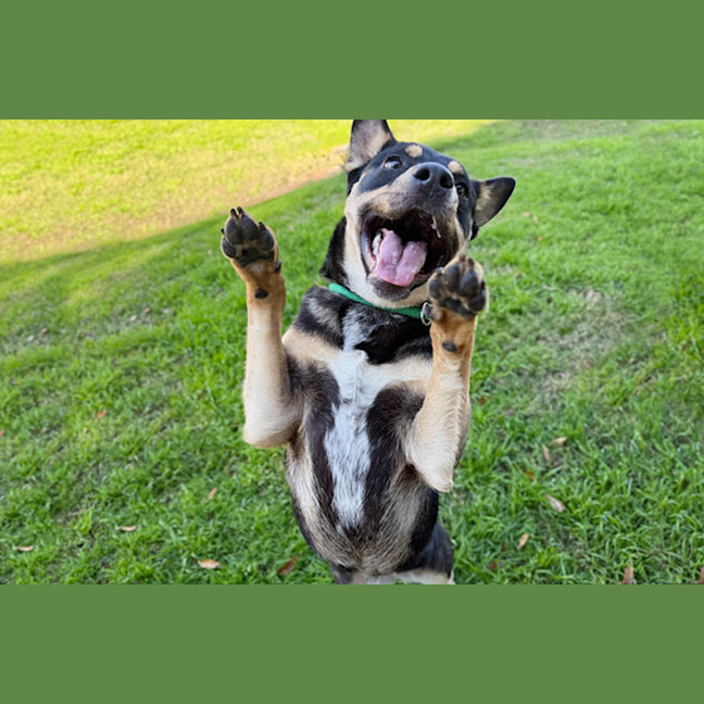 Photo of Kendall