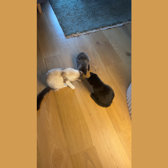 Photo of Ella Bleu