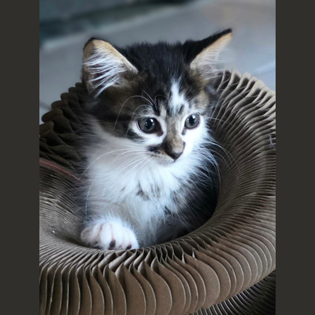 Photo of Murphy