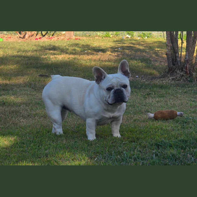 Photo of Lacie