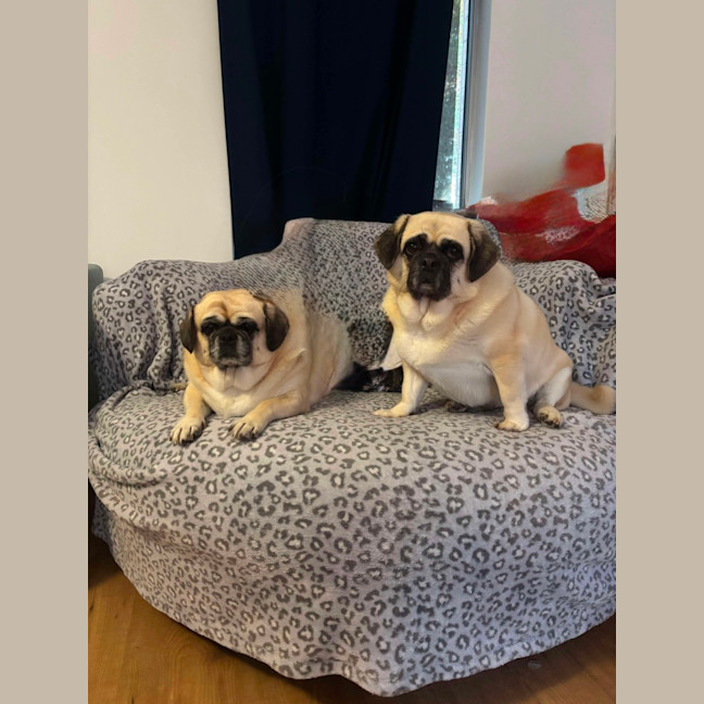 Photo of Coco And Lola