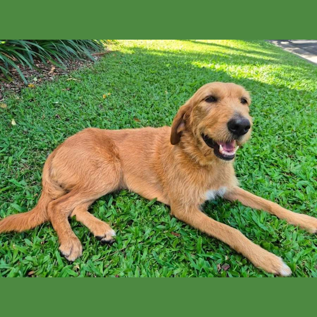 Photo of Daisy