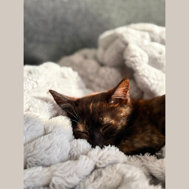Photo of Willa