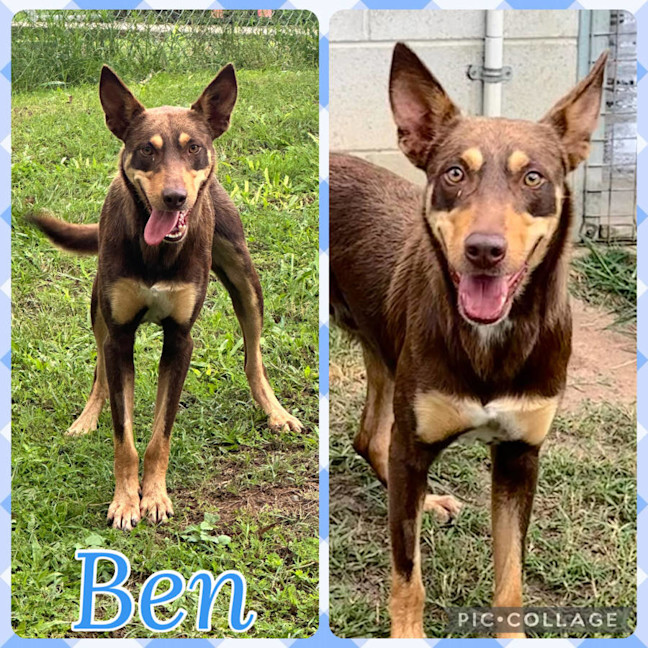 Photo of Ben