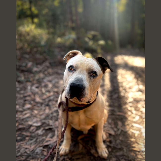 Photo of Turbo