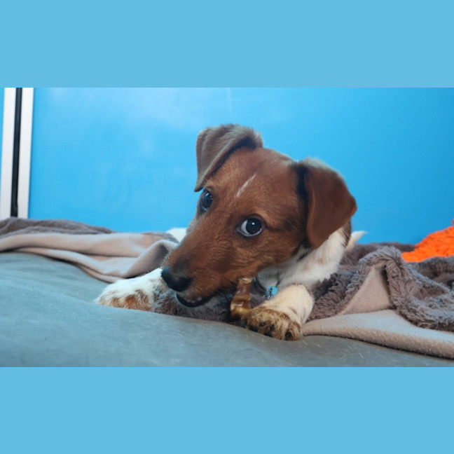 Photo of Clarence Von Wigglebottom