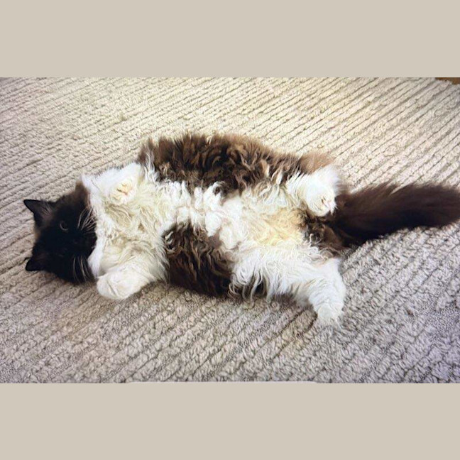 Photo of Maggie