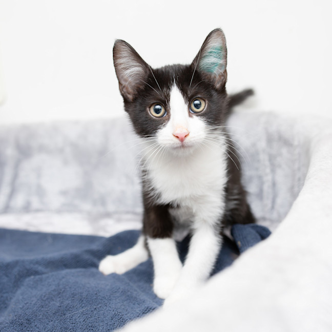 Photo of Little Bit Cutesy