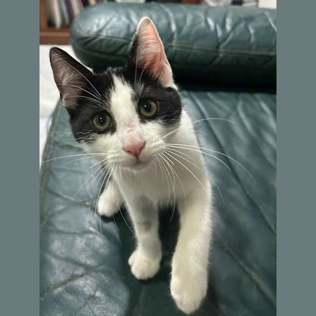 Photo of Bobby