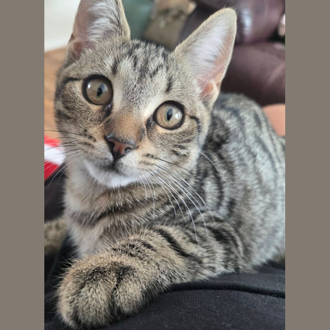 Photo of Tina