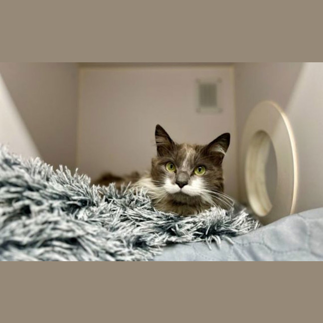 Photo of Maisy
