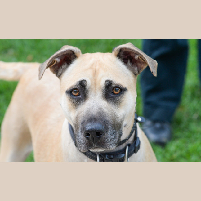 Photo of Tequila
