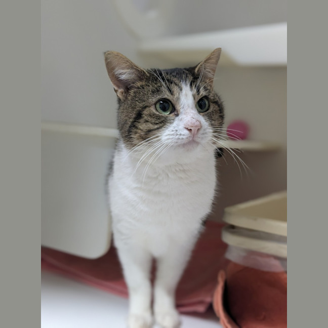 Photo of 🎣 Rafferty 6254 🎣