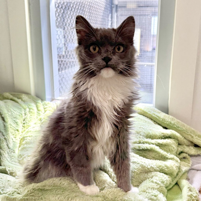 Photo of Fergus