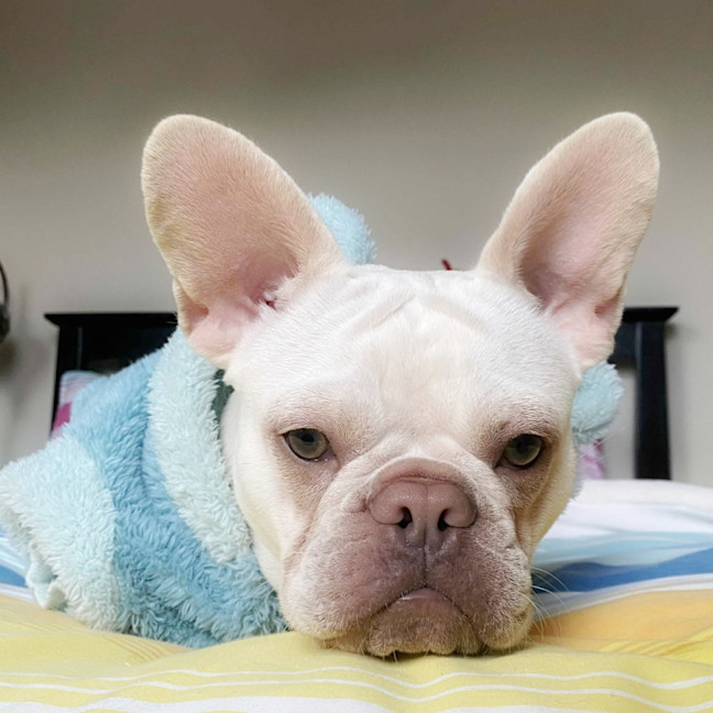 Photo of 🧚‍♀️pixie🧚‍♀️